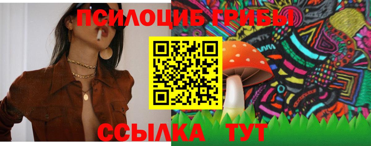 Галлюциногенные грибы Magic Shrooms Нижнекамск