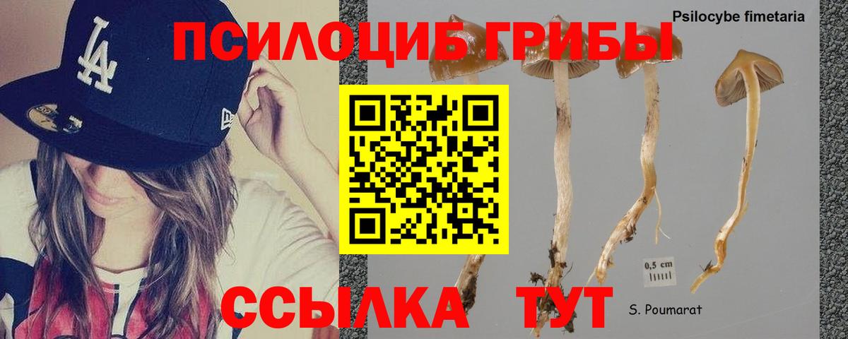 Галлюциногенные грибы прущие грибы  Псилоцибиновые грибы GOLDEN TEACHER  Нижнекамск  Вход с VPN 